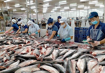 HÀNG VIỆT XUẤT KHẨU SANG MEXICO - THỊ TRƯỜNG MỚI, TIỀM NĂNG